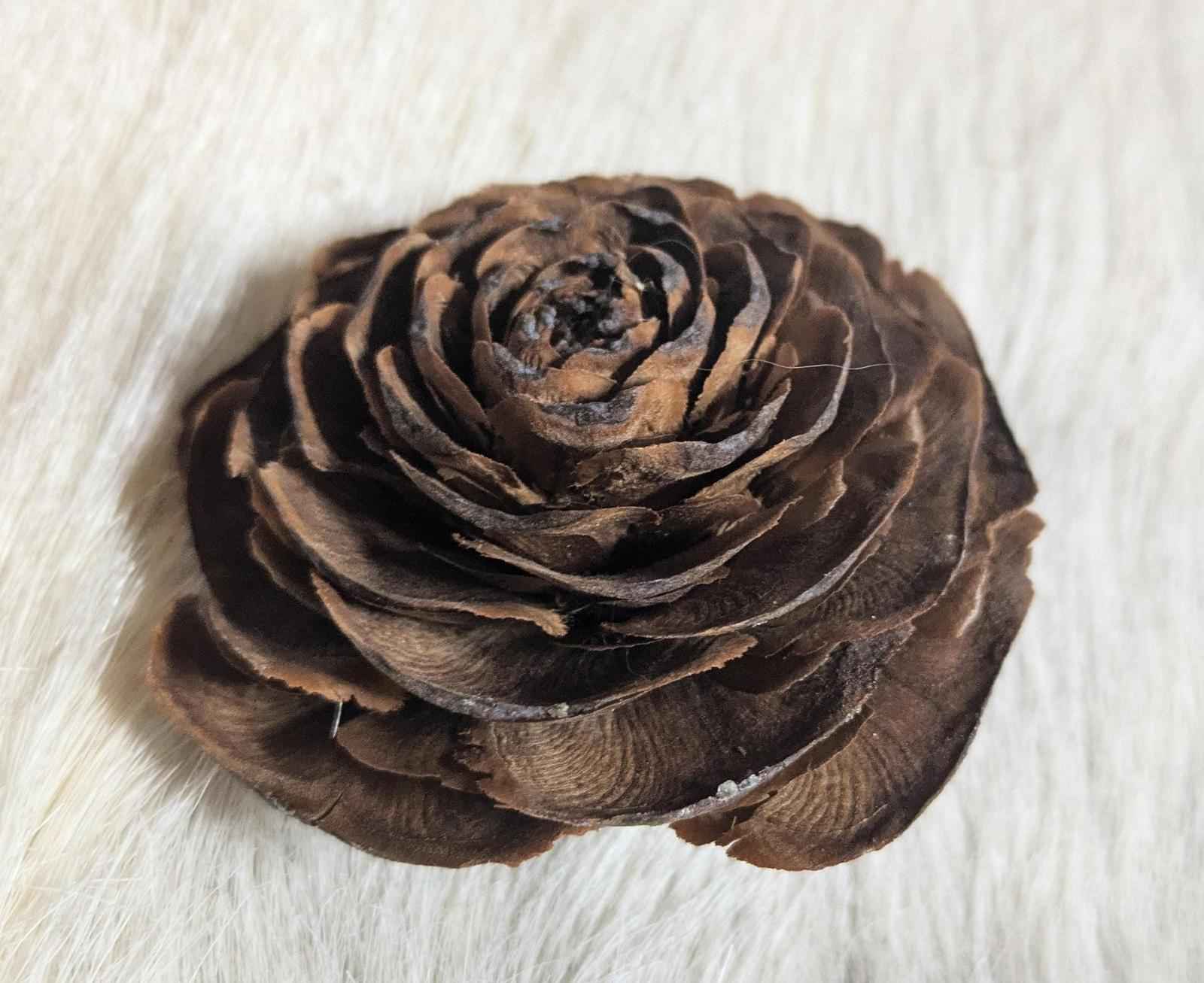Decorative "Roses" for crafting.  Pinecone crests from Cedar of Lebanon tree. - Shop Under The Cedar