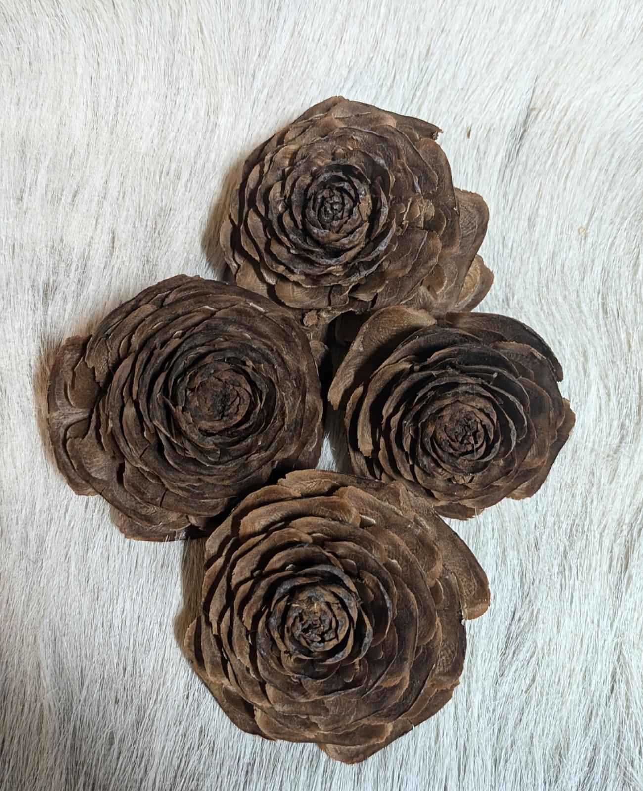 Decorative "Roses" for crafting.  Pinecone crests from Cedar of Lebanon tree. - Shop Under The Cedar