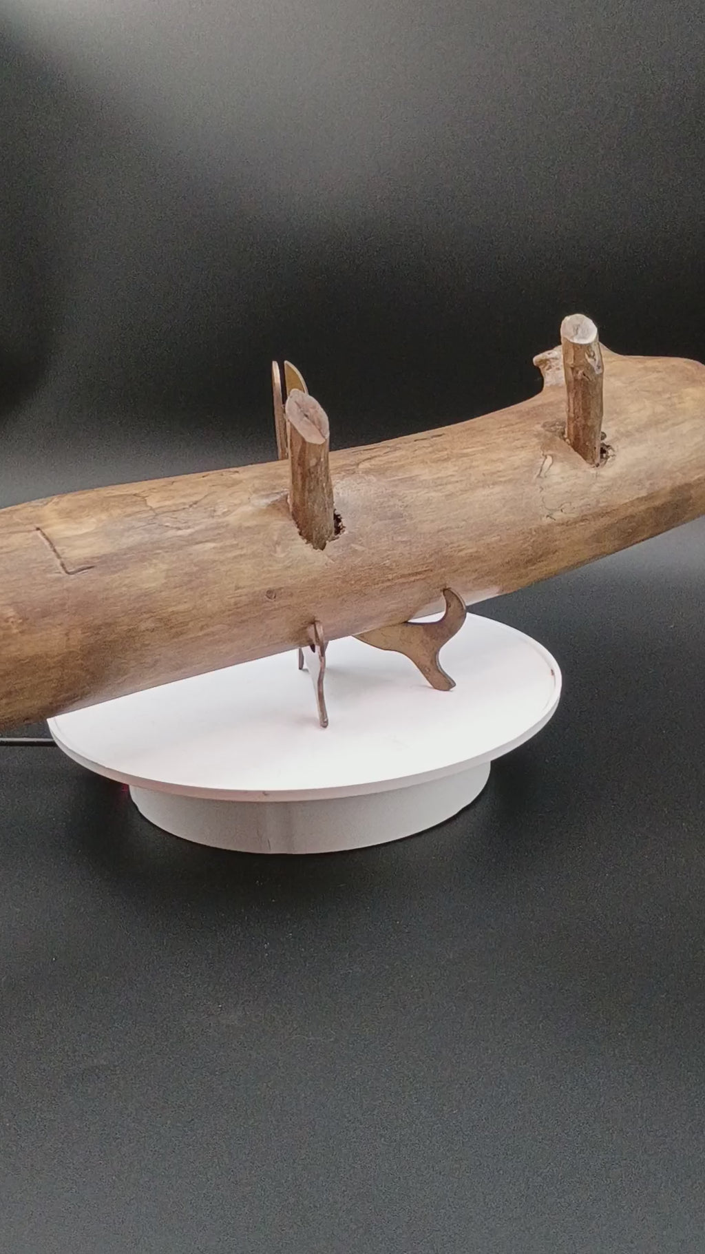 Handmade, driftwood coat/accessory wall hanger.